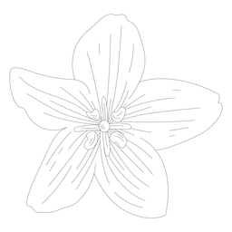 Petal flower line PNG Design
