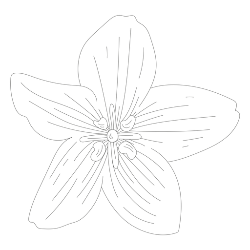 Petal flower line PNG Design