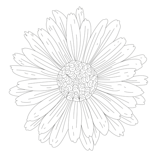 Línea de flores de gineceo de pétalos Diseño PNG