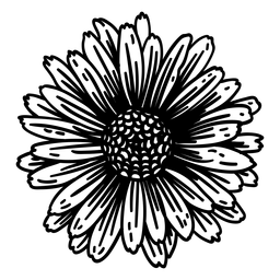 Blütenblatt Gynäkium Blumensilhouette detailliert PNG-Design