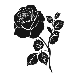 Rose petal leaf detailed silhouette Transparent PNG