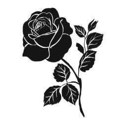 Silhueta detalhada da folha da pétala de rosa Desenho PNG