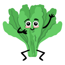 Salat Salat flach PNG-Design