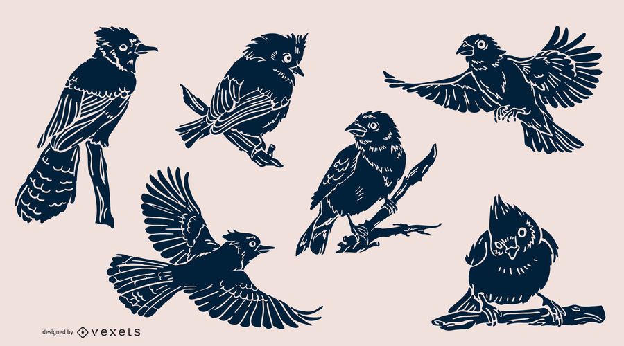 Realistic birds pack Realistic birds pack