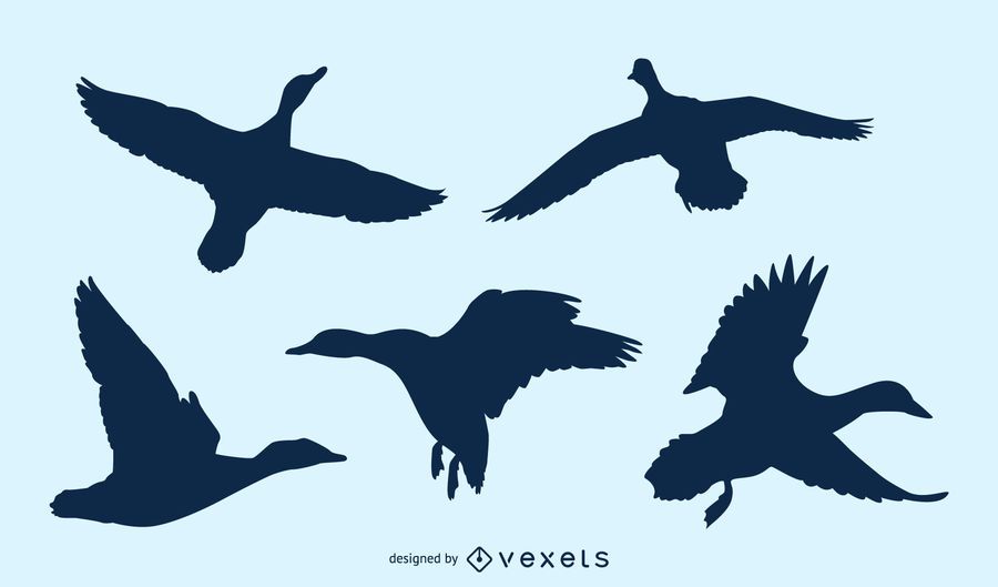 Duck flying silhouette set Duck flying silhouette set
