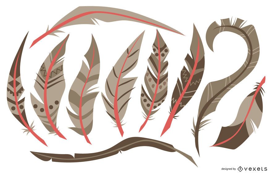 Feather Illustration Collection Set Feather Illustration Collection Set