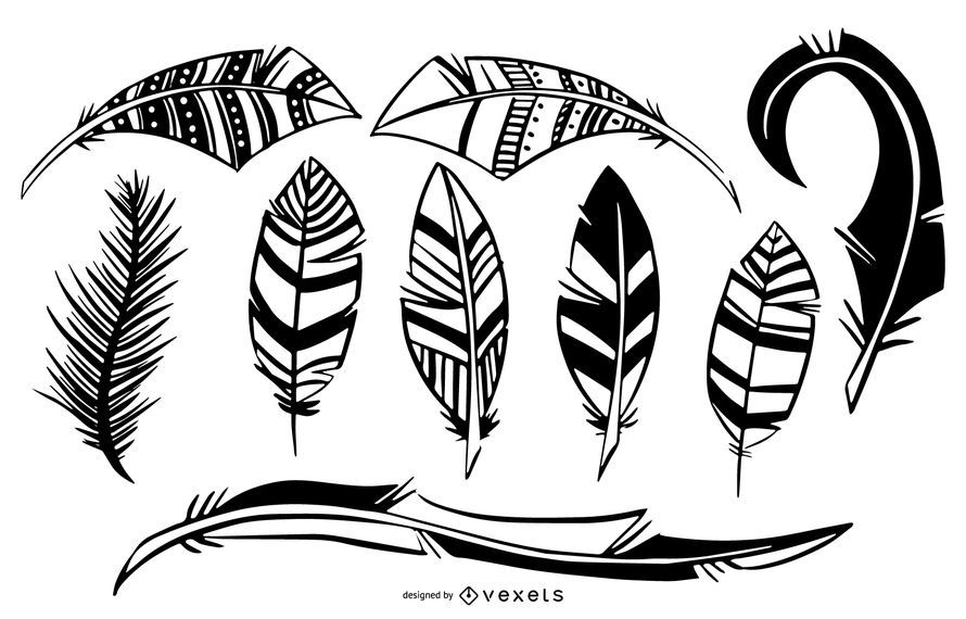 Bird Feather Black White Illustration Set Bird Feather Black White Illustration Set