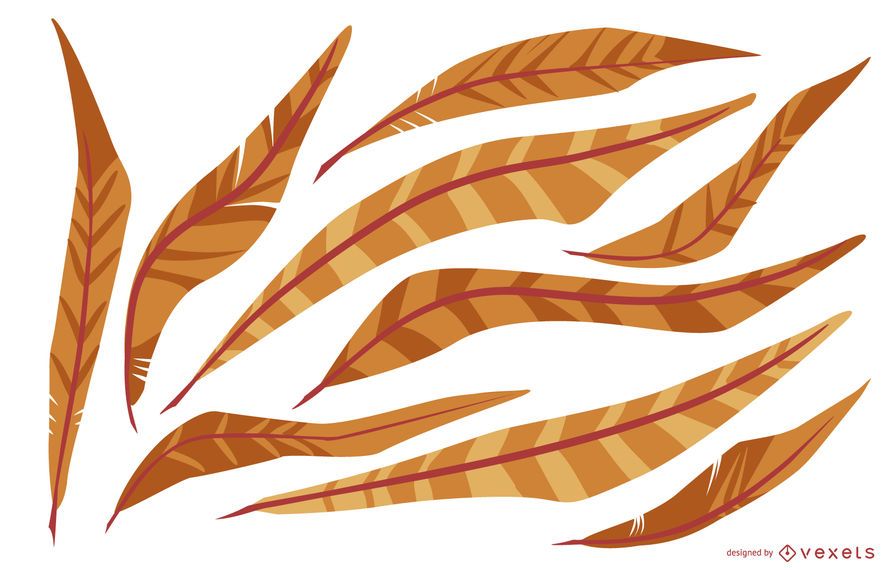 Orange Feather Illustration Pack Orange Feather Illustration Pack