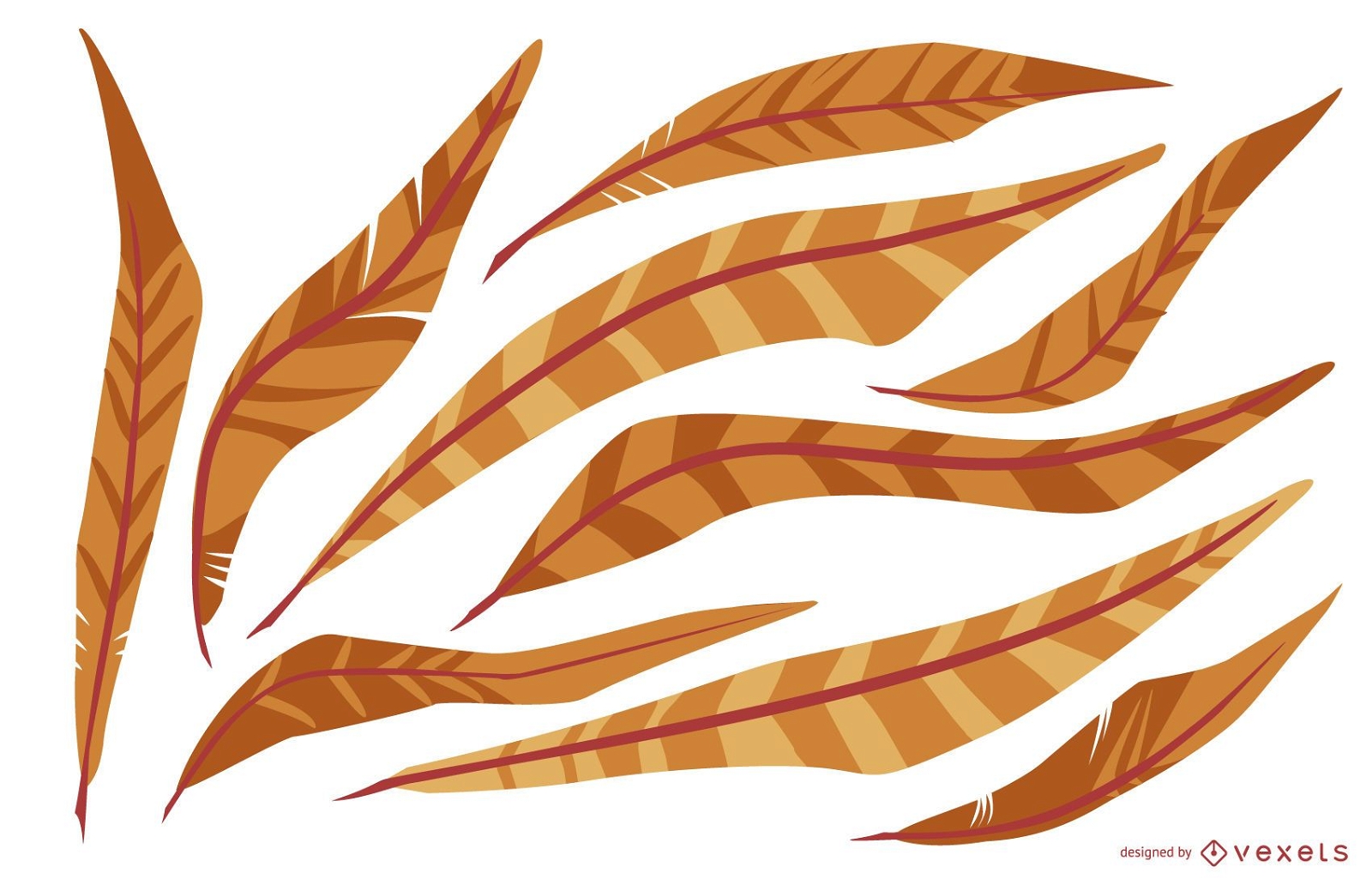 Orange Feather Illustration Pack