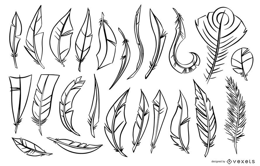 Stroke Feather Illustration Set Stroke Feather Illustration Set