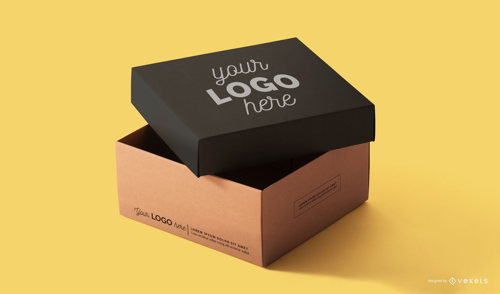 Box Packaging Design Vector