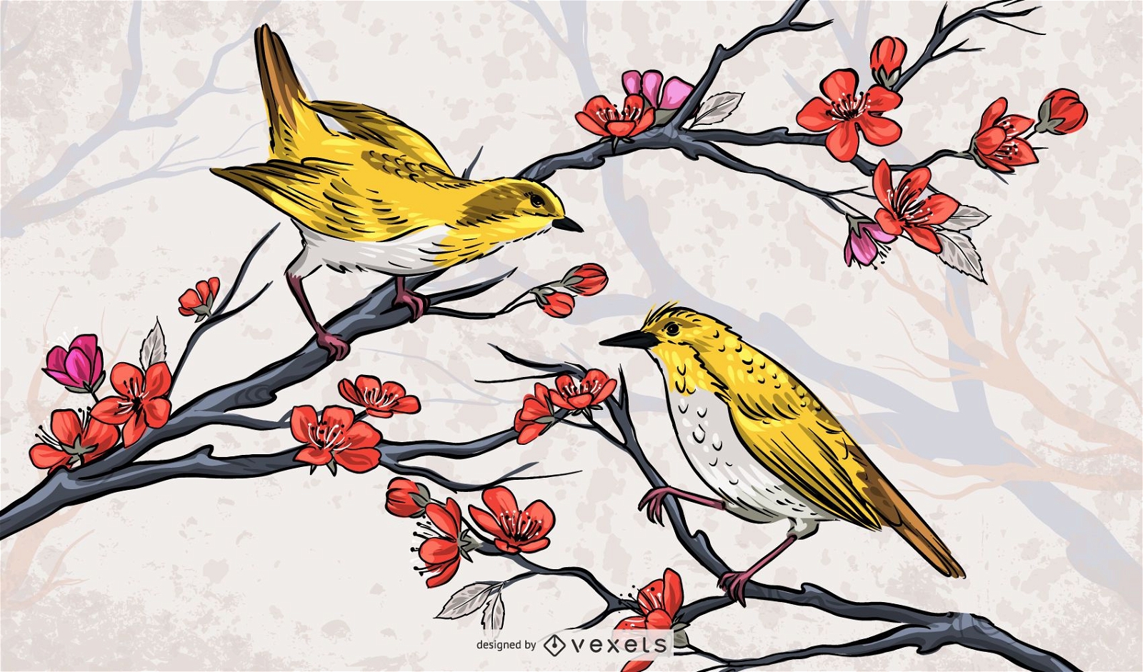 Beautiful Chinese Birds Illustration