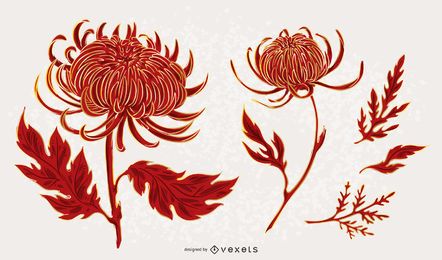 Chrysanthemum Flower Illustration set