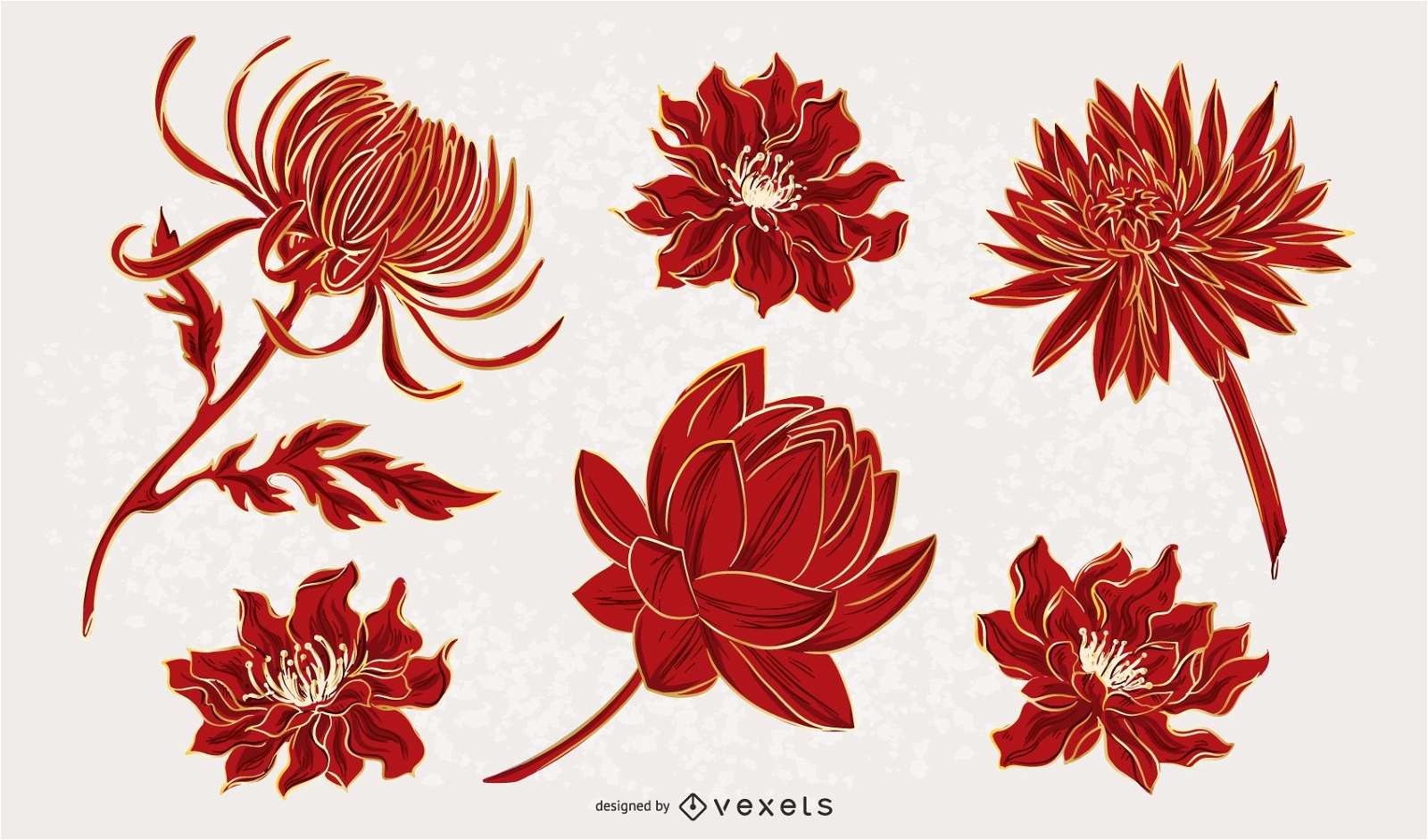 Paquete de ilustración de flores chinas
