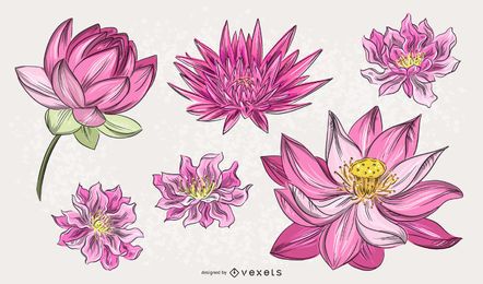 Chinese Pink Flower Illustration Set Chinese Pink Flower Illustration Set