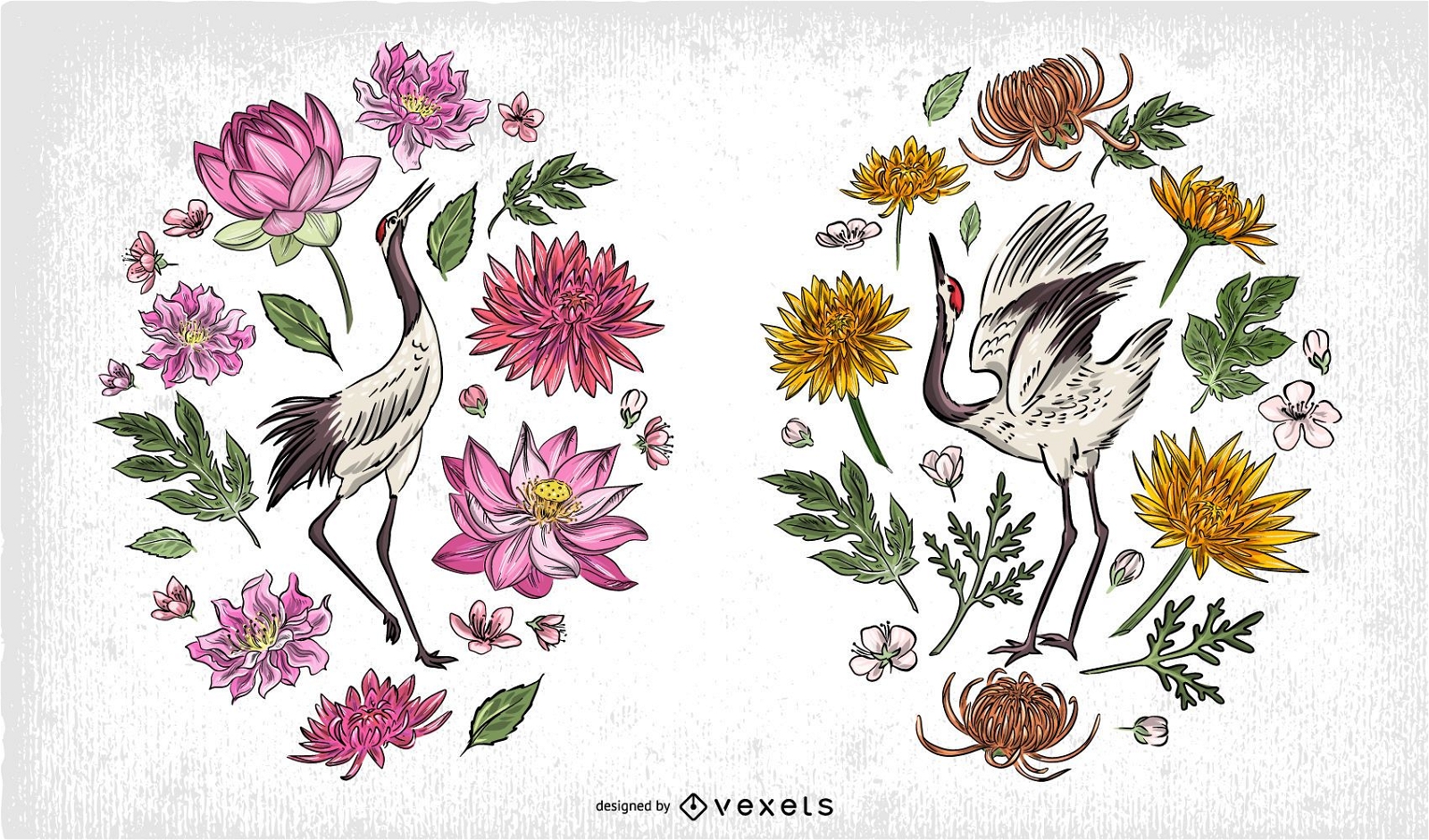Composición de ilustración de aves chinas