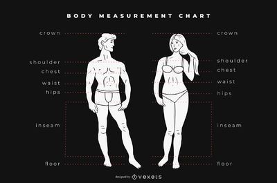 https://images.vexels.com/media/users/3/178853/preview/c09eaf968d7a37fe0517e75c5dce3872-body-measurement-chart-graphic.jpg