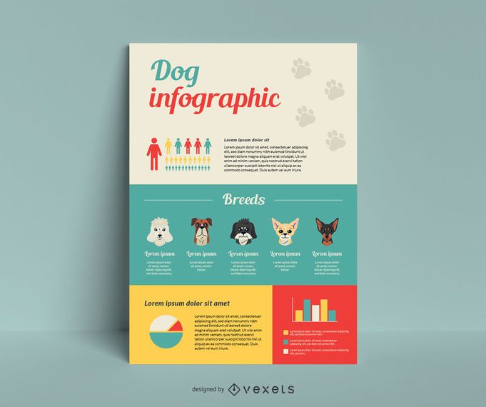 Dog breed infographic template Dog breed infographic template