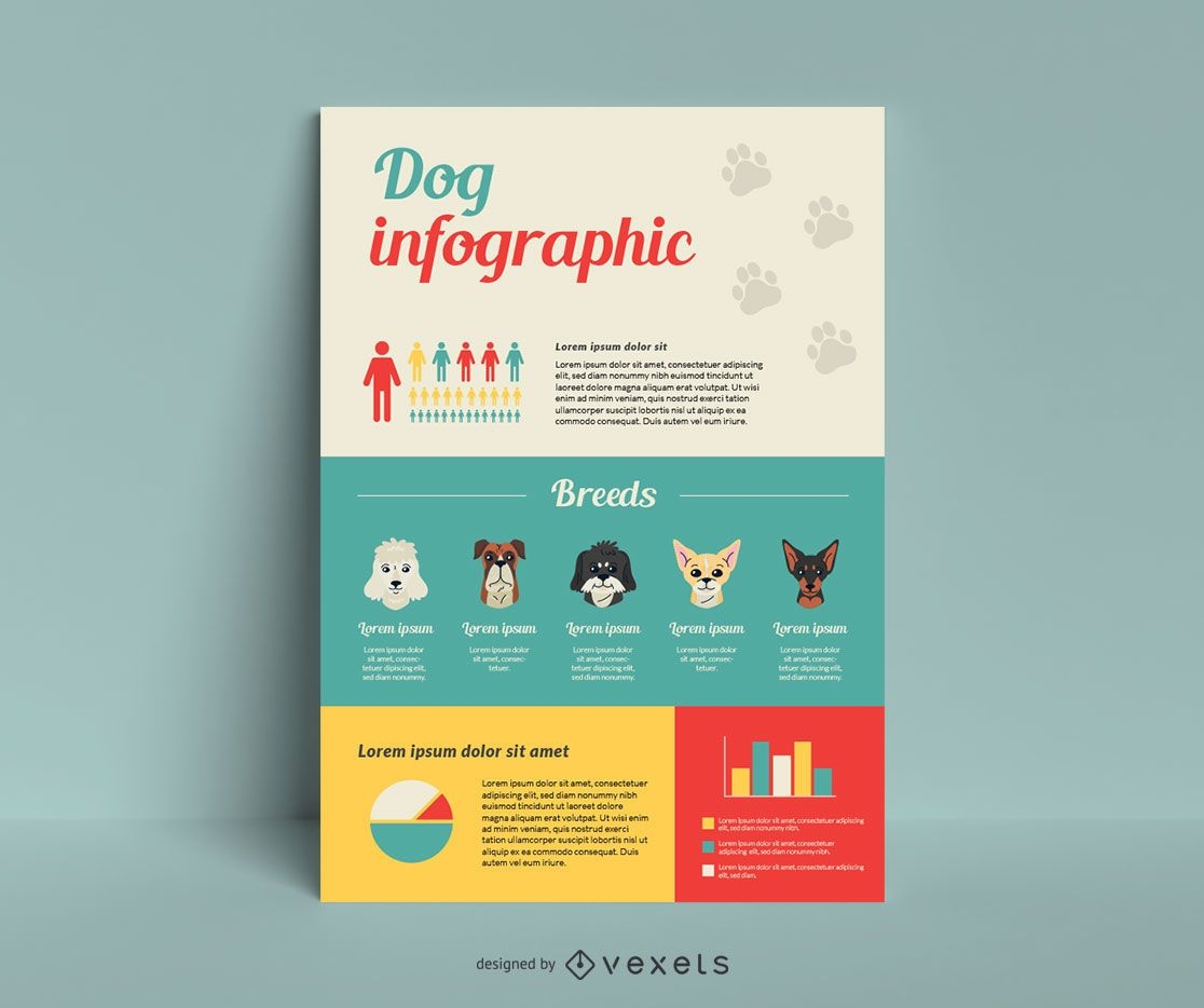 Dog breed infographic template