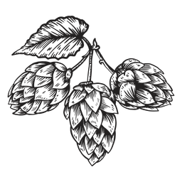 Ilustração de cone hop Desenho PNG