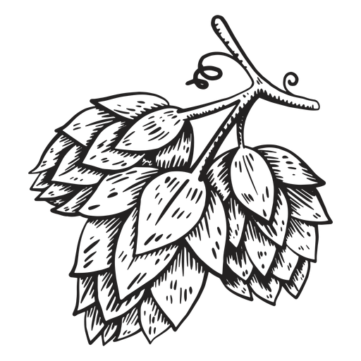 Ilustração do cone de lúpulo - Baixar PNG/SVG Transparente