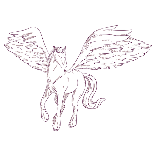 Ilustração de cavalo pégaso Desenho PNG