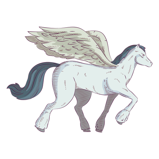 Pegasus horse colored coloured illustration