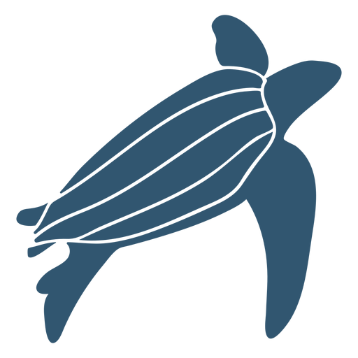 Concha de tortuga detallada silueta animal Diseño PNG