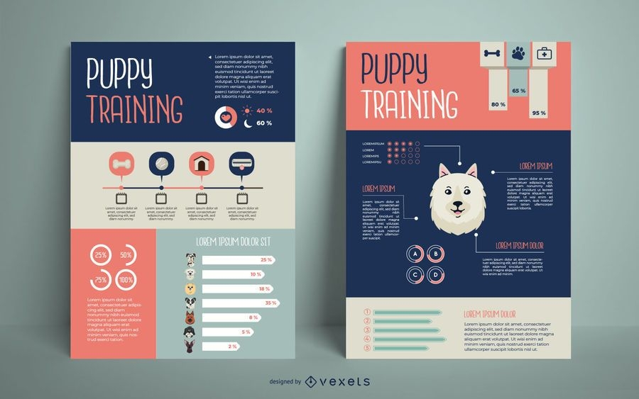Hundetraining Infografik Design Vektor Download