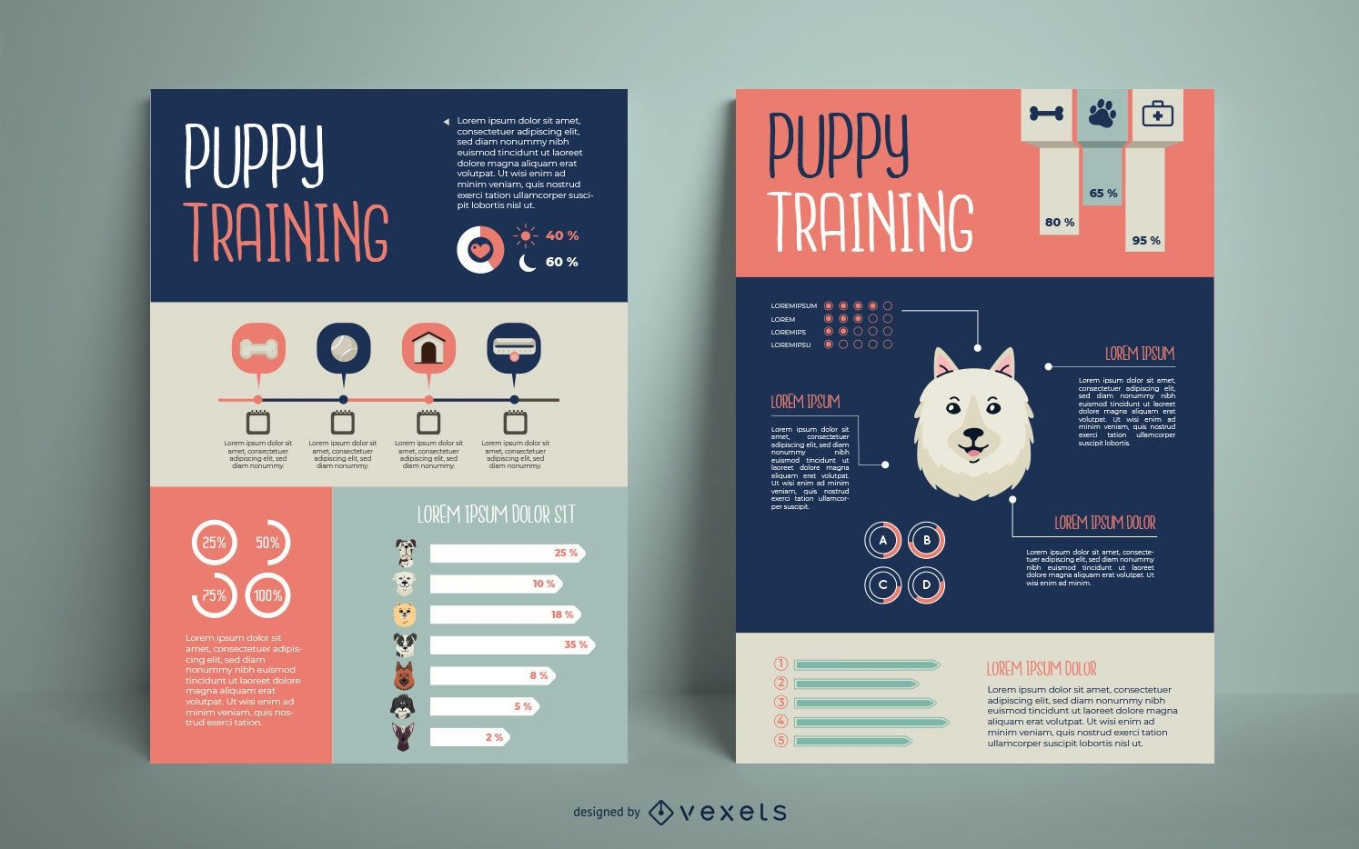 Diseño de infografía de entrenamiento de perros