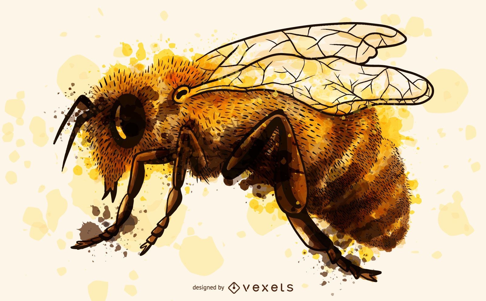Bee watercolor illustration