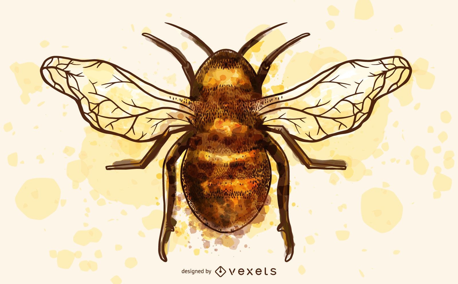 Bee insect watercolor illustration