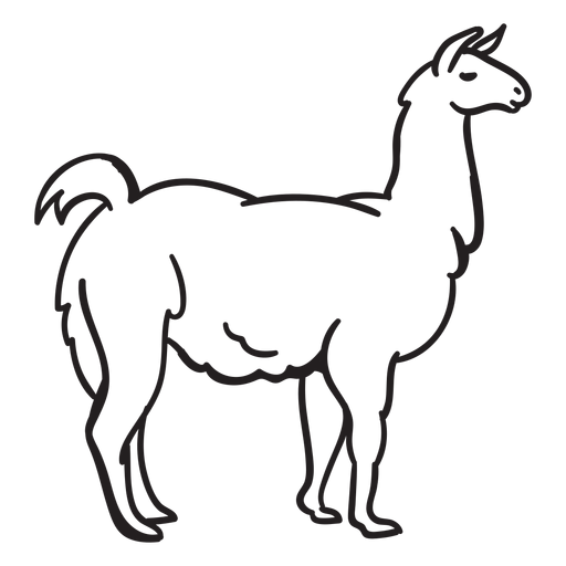 Alpaca stands stroke PNG Design