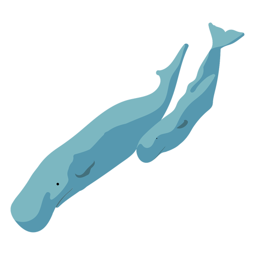 Cartoon flat two whales PNG Design