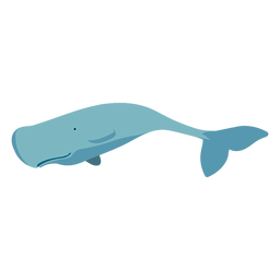 Ballena plana de dibujos animados azul Diseño PNG