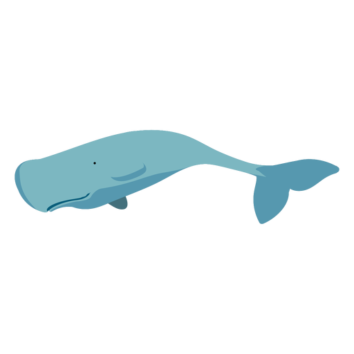 Ballena plana de dibujos animados azul - Descargar PNG/SVG transparente