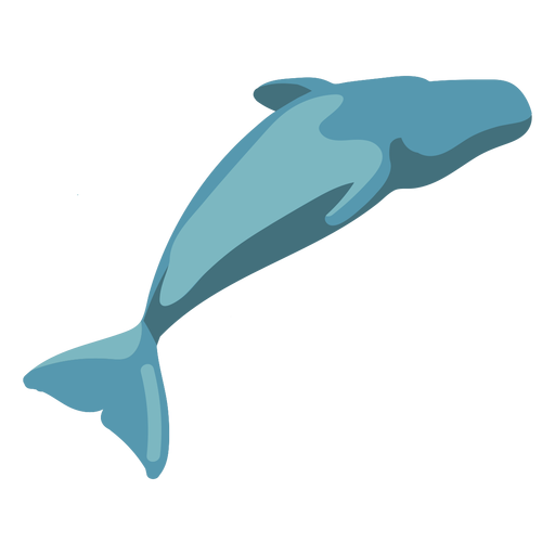 Cartoon flat whale image PNG Design