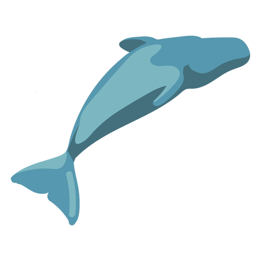 Ballena Dibujo Png