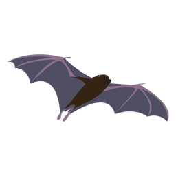 Mosca plana de morcego Desenho PNG