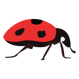 Flat ladybug PNG Design