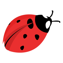 Flat ladybug image Flat ladybug image