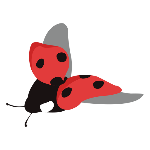 Mosca de imagen de mariquita plana Diseño PNG