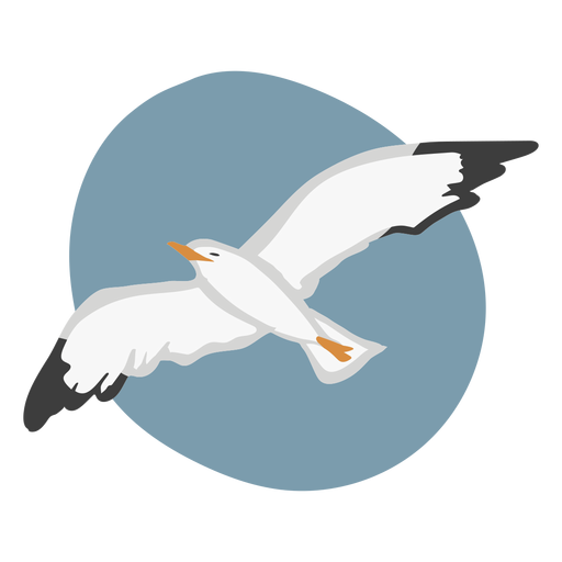 Voar gaivota cor de animal plano