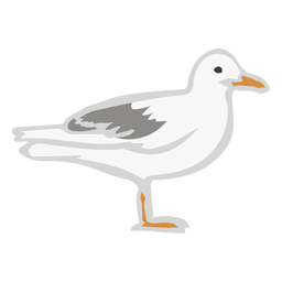 Mosca gaviota animal color plano Diseño PNG