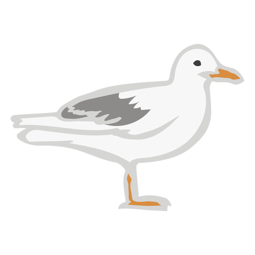 Fly gull flat color animal