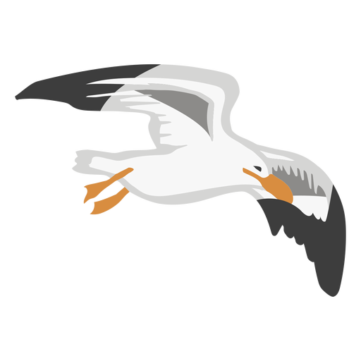 Gull color animal flat PNG Design