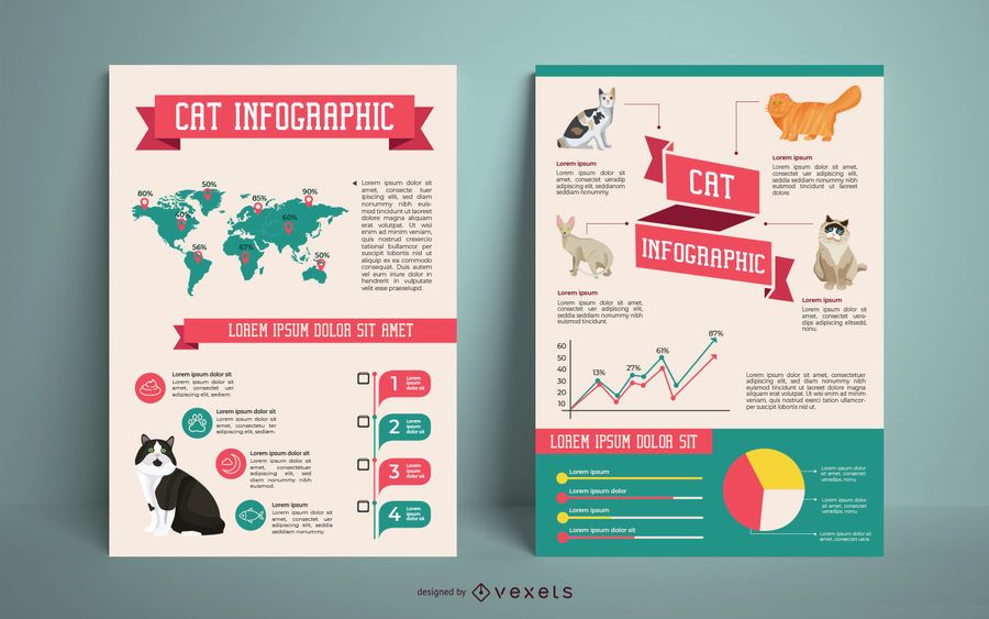 Plantilla de infografía de razas de gatos Plantilla de infografía de razas de gatos