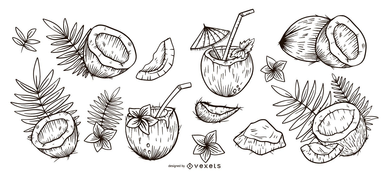Conjunto de coco desenhado à mão