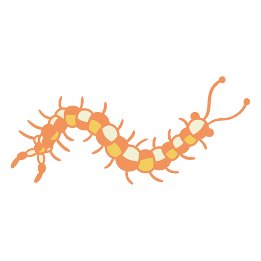 Orange centipede crawling PNG Design