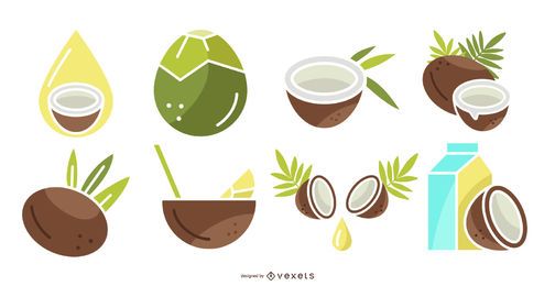 Conjunto de productos de coco Conjunto de productos de coco